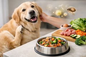 Does Fresh Dog Food Help Allergies in Dogs?