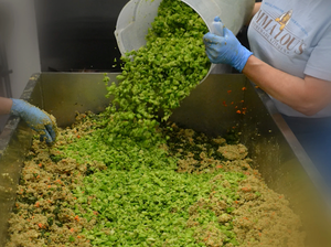 From Nature to Bowl: All-Natural Dog Food for Optimal Health