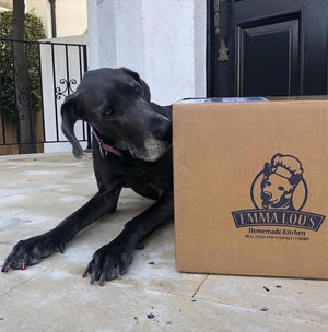 All Natural Dog Food Delivery That Makes Sense