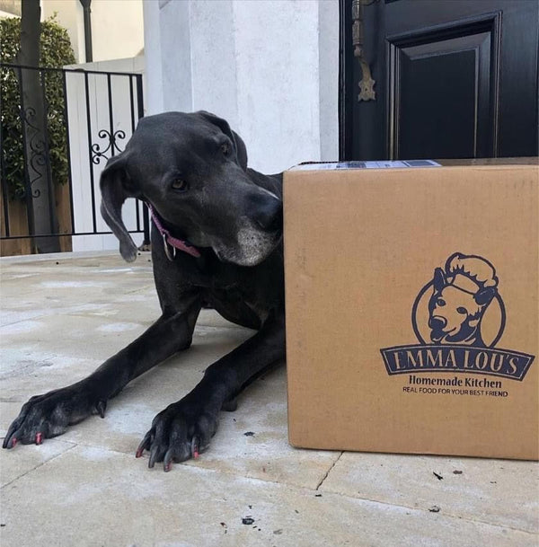 All Natural Dog Food Delivery That Makes Sense