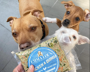 A Loving Approach to Home-Made Dog Food in California