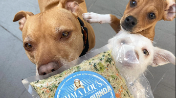A Loving Approach to Home-Made Dog Food in California