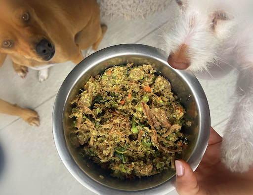 What AAFCO Approved Fresh Dog Food Means
