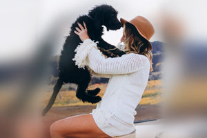 all natural dog food